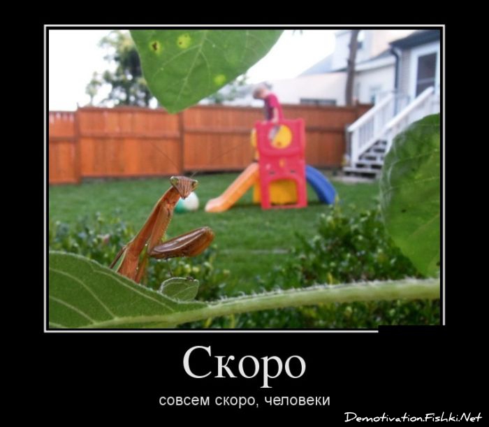 Опубликованное фото