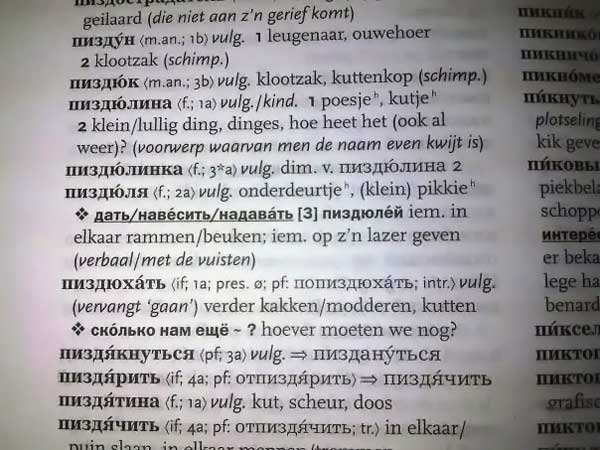 Русско-нидерландский словарь (5 фото)