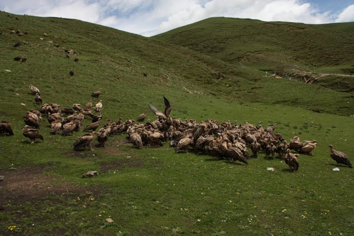 Похороны в Тибете Pohoroni_37