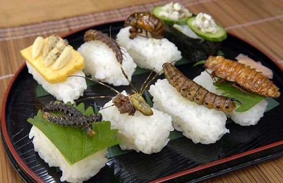 Японская еда (10 фото)