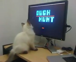 Котунок и Duck Hunt