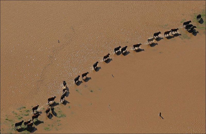 Наводнение в Австралии (7 фото)