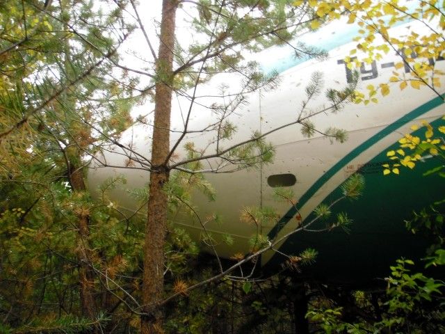 Ту-154М АК Алроса, аварийная посадка в Ижме (15 фото)
