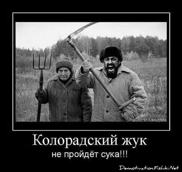 http://ru.fishki.net/picsw/092010/10/post/demotivator/demotivator048.jpg