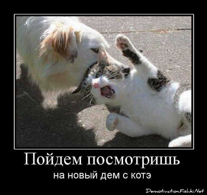 http://ru.fishki.net/picsw/092010/10/post/demotivator/demotivator114.jpg