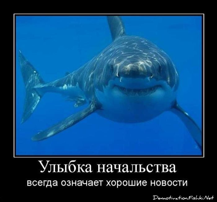 http://ru.fishki.net/picsw/092010/17/post/demotivator/demotivator120.jpg