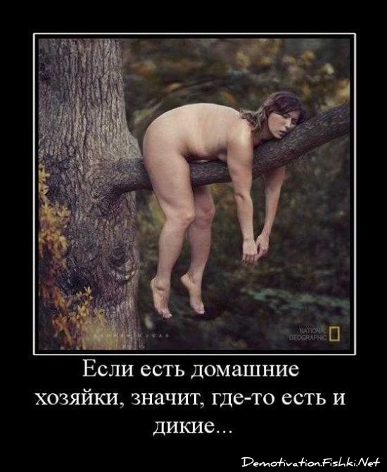 http://ru.fishki.net/picsw/092010/17/post/demotivator/demotivator134.jpg