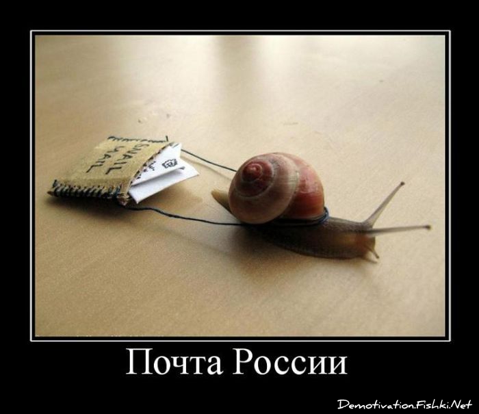 http://ru.fishki.net/picsw/092011/21/post/demotivator/demotivator-009.jpg