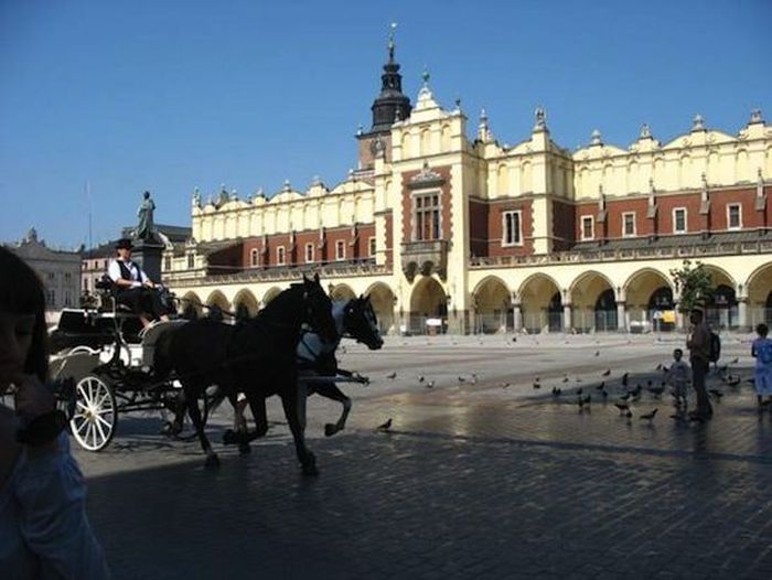  100 фактов о Польше глазами россиянина (11 фото)