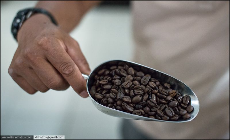Самый дорогой кофе в мире (14 фото)