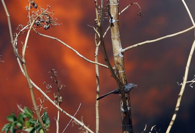 ������ � ���������� (30 ����)