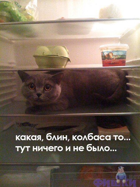 ������� - sterh