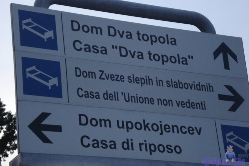 ������� - togsons