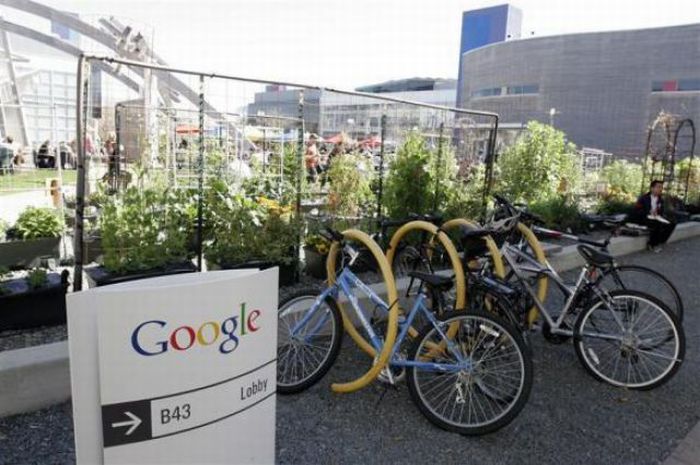 Офисы Google в Калифорнии и Нью Йорке (32 фото)