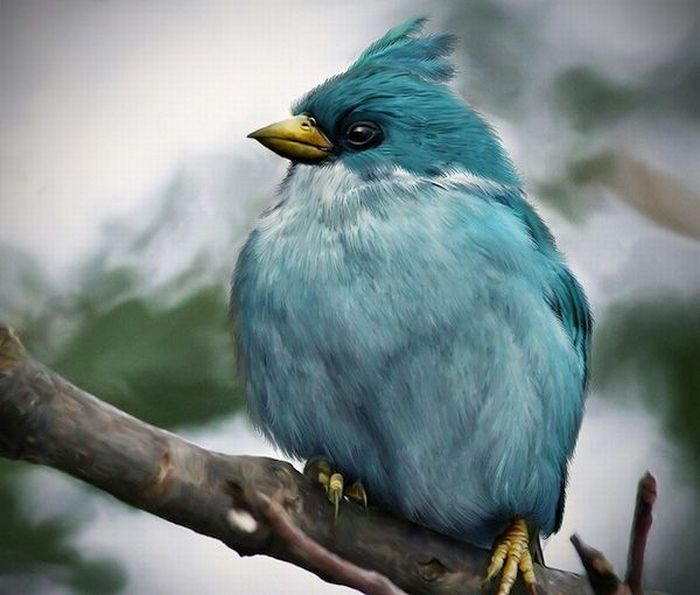 002 Lo nuevo de Angry Birds
