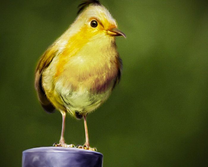 003 Lo nuevo de Angry Birds