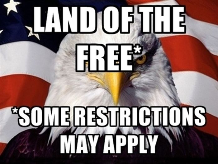 American Pride Eagle Meme (25 pics)