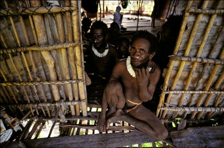 Изолированное от внешнего мира племя Короваи (10 фото)