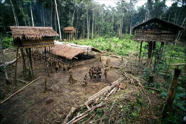 Изолированное от внешнего мира племя Короваи (10 фото)