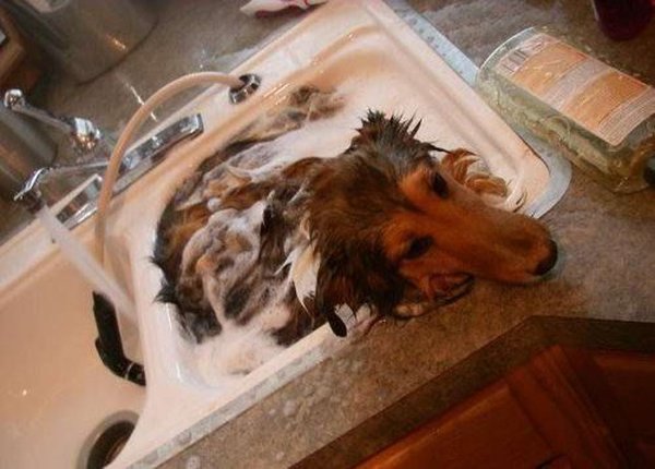 &Ucy;&mcy;&ycy;&vcy;&acy;&jcy;&scy;&yacy; &iecy;&scy;&lcy;&icy; &khcy;&ocy;&chcy;&iecy;&shcy;&softcy; &bcy;&ycy;&tcy;&softcy; &zcy;&dcy;&ocy;&rcy;&ocy;&vcy;! (13 &fcy;&ocy;&tcy;&ocy;)