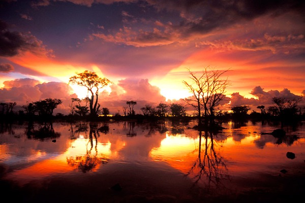 Национальный парк Этоша в Намибии (13 фото)