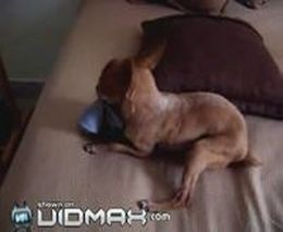 �� ������ ������ �������...