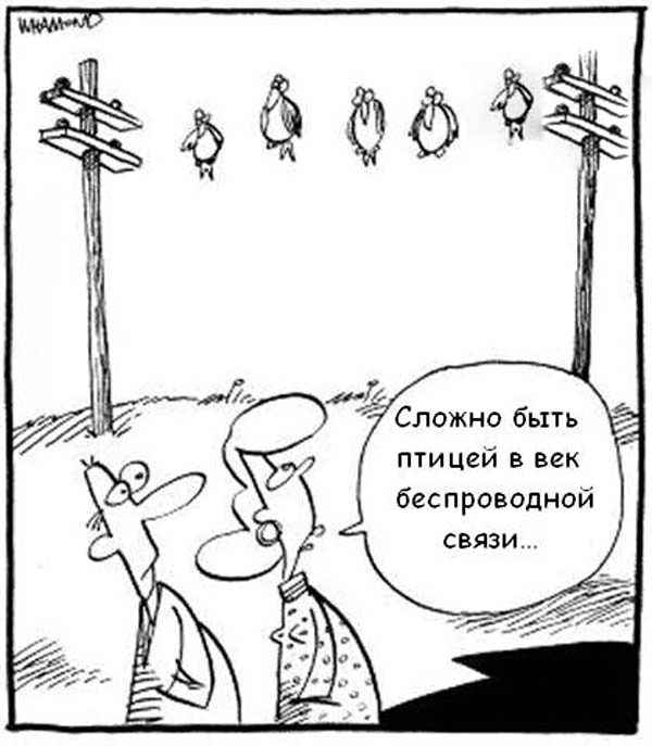 Прикольные карикатуры (28 фото)