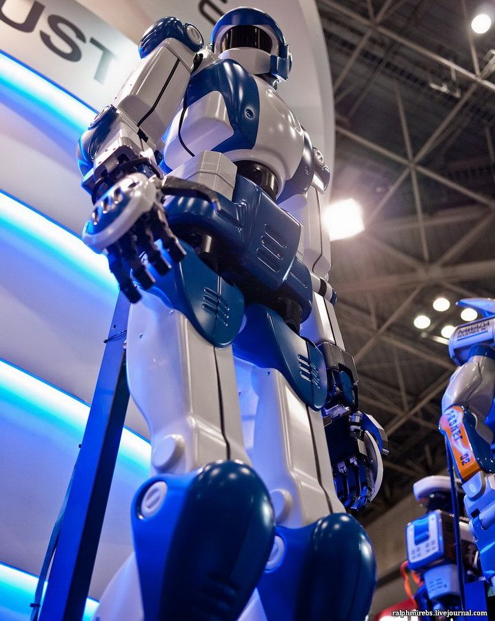 2240 Япония: Международная выставка роботов