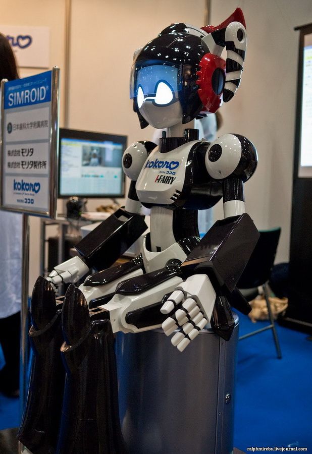 2437 Япония: Международная выставка роботов