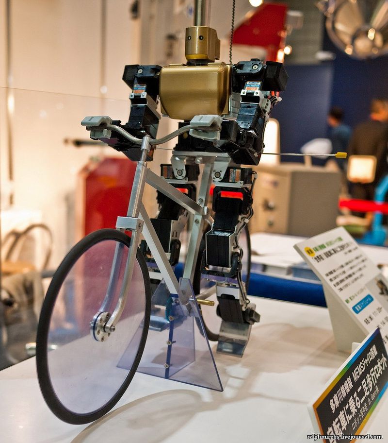 5613 Япония: Международная выставка роботов