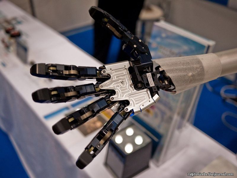 6413 Япония: Международная выставка роботов