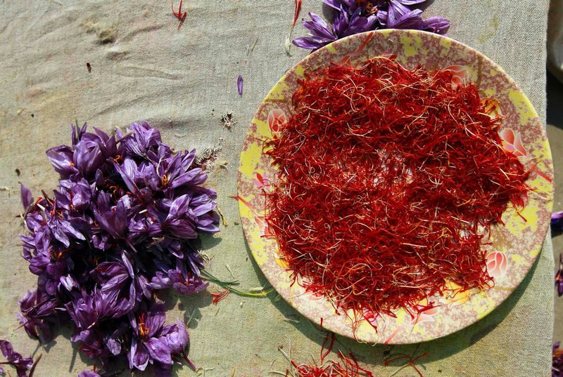 Saffron - one of the most expensive spices in the world (13 photos)