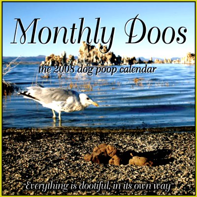 Календарик на тему собачьих какашек