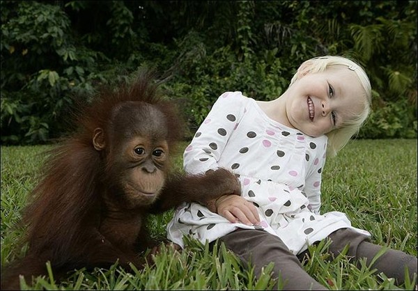 Девочка подружилась с обезьяной (8 фото)