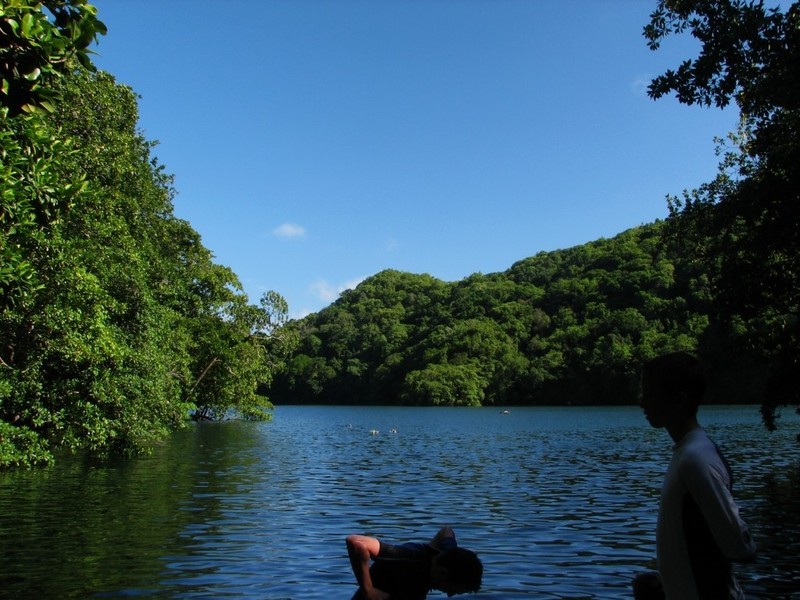 Озеро Медуз, Палау (19 фото)