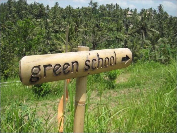  Зеленая школа на острове Бали (44 фото)