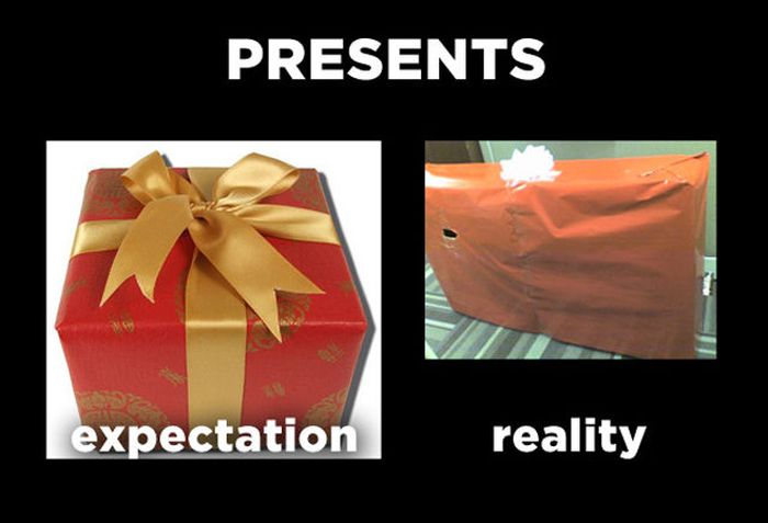Holiday Expectations Smacking Into Reality (12 pics)