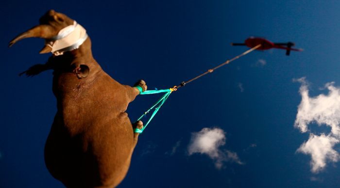 Лучшие фотографии дикой природы за 2011 года (50 фото)