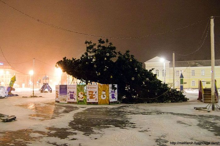 Новогодняя елка упала в Петрозаводске (4 фото)