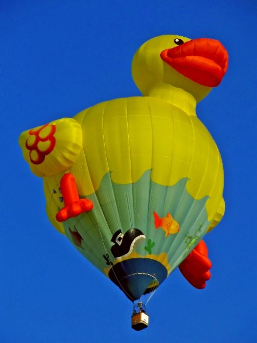 Воздушный шар 39. Необычный воздушный шар. Самые необычные воздушные шарики. Воздушные шары в виде животных. Воздушный шар поделка.