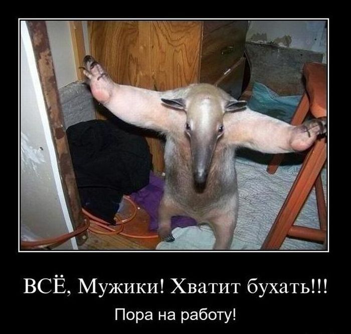 http://ru.fishki.net/picsw/012011/12/post/demotivator/demotivator142.jpg