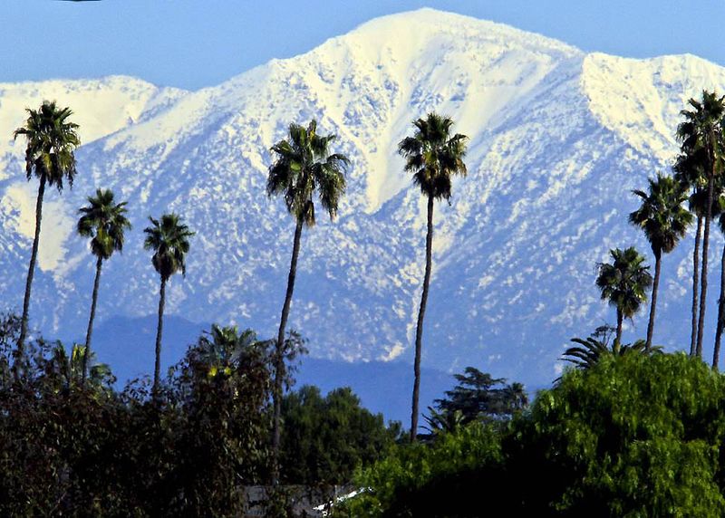 12. Контраст из заснеженных гор Сан-Габриэль и зеленых пальм в Лос-Анджелесе. (Anne Cusack / Los Angeles Times)