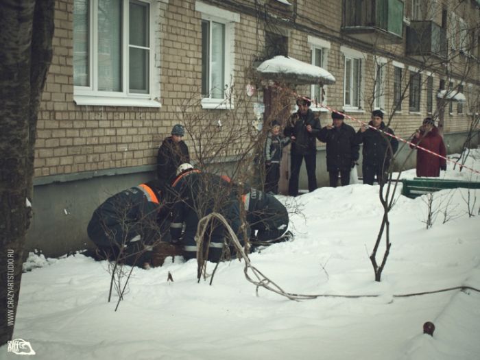 На улицах Ярославля разгуливает олененок (43 фото)