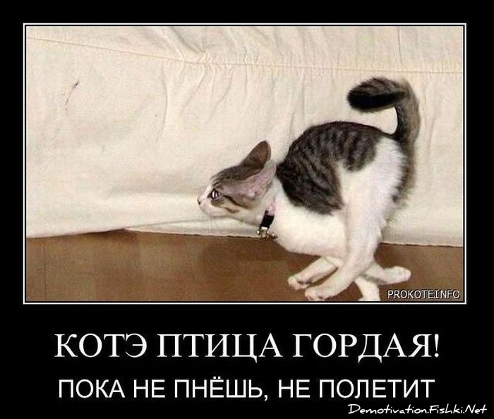 http://ru.fishki.net/picsw/012011/26/post/demotivator/demotivator-063.jpg