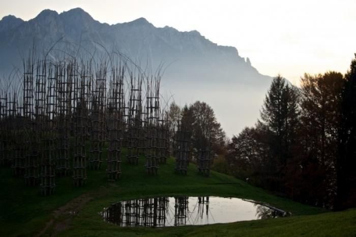 Храм из растущих деревьев в Италии (13 фото)