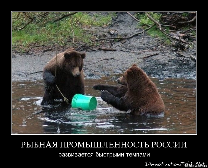 http://ru.fishki.net/picsw/022009/19/demotivator/001.jpg