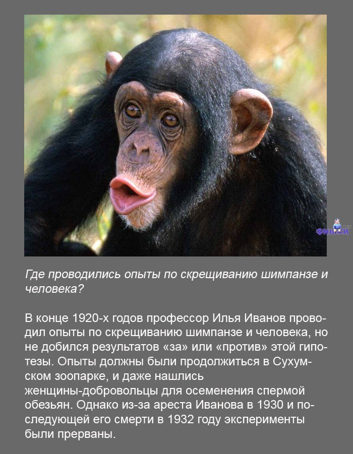http://ru.fishki.net/picsw/022011/03/post/fakt/fakt027.jpg