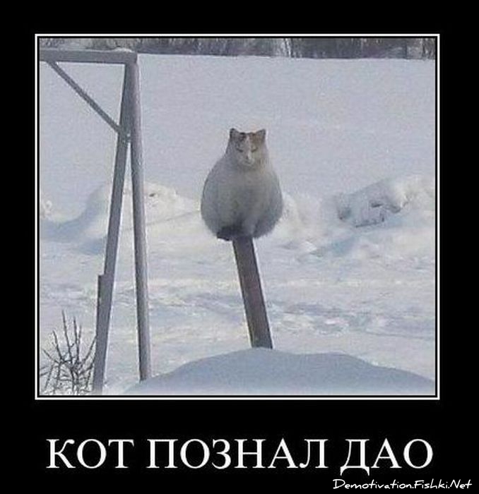 http://ru.fishki.net/picsw/022011/04/post/demotivator/demotivator-086.jpg