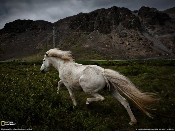 Фото National Geographic за февраль 2011 (28 фото + текст)