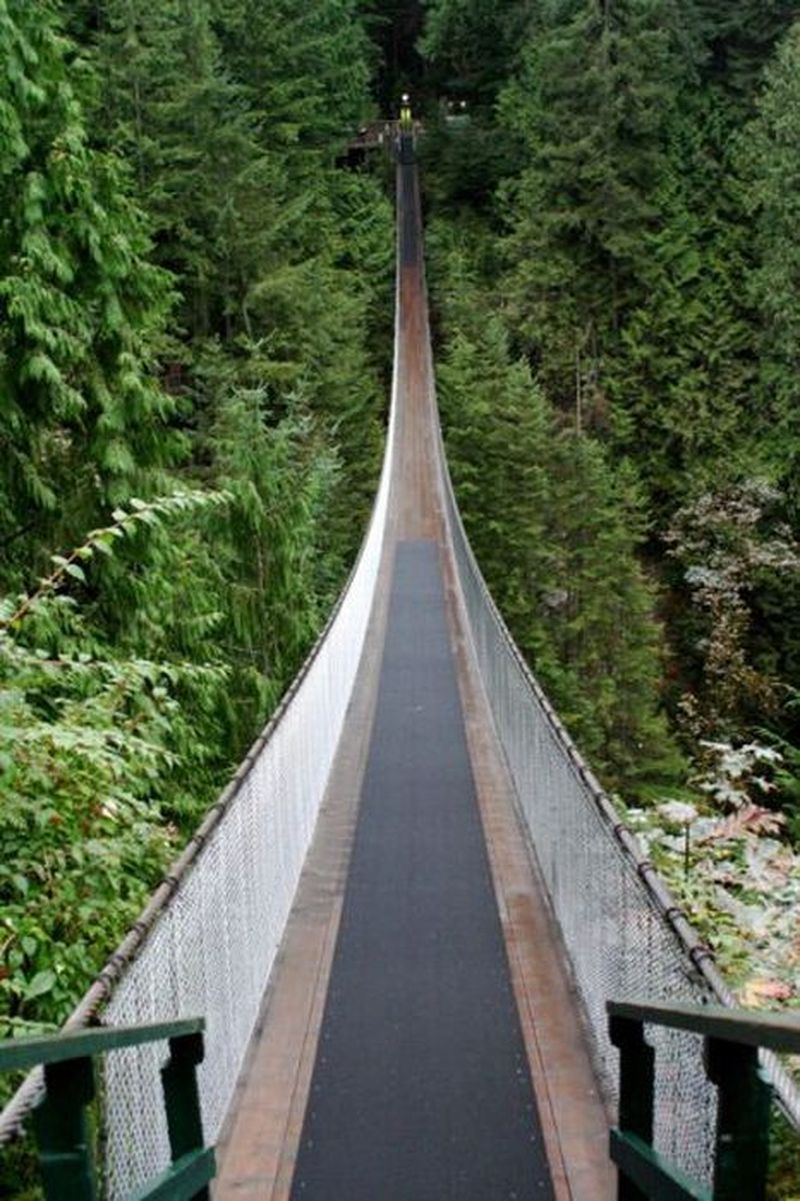 Как выглядит 70 метров. Река Капилано. Мост в Capilano River. Capilano Suspension Bridge. Подвесной мост 30 метров.